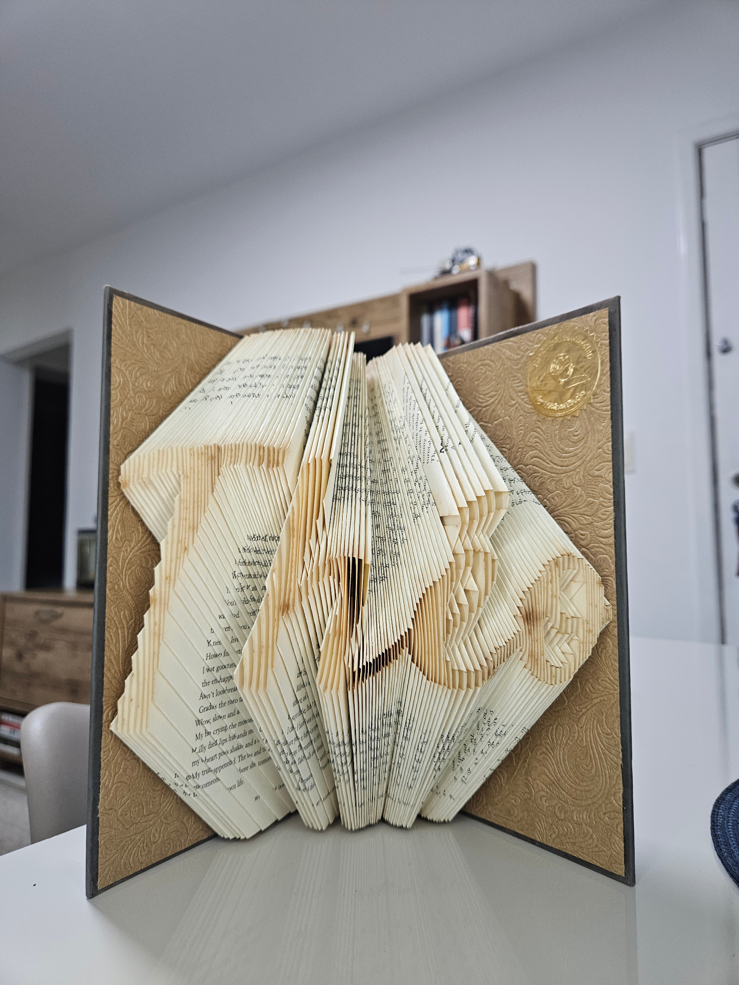 Livro dobrado com desenho detalhado feito pelo gerador de moldes Livro dobrado com desenho detalhado feito pelo gerador de moldes